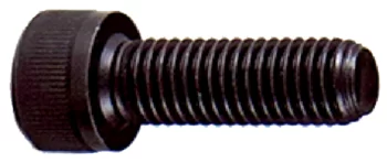 Mounting Screws