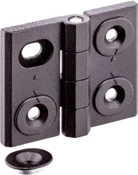                                             Hinges adjustable
 IM0013813 Foto
