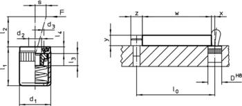                                 Accessories for: 22150. Lateral Plungers smooth, with seal, with female thread
 IM0003457 Zeichnung
