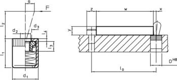                                 Accessories for: 22150. Lateral Plungers smooth, without seal, with female thread
 IM0003458 Zeichnung
