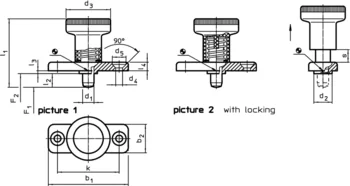                                             Index Plungers with mounting flange
 IM0003077 Zeichnung en
